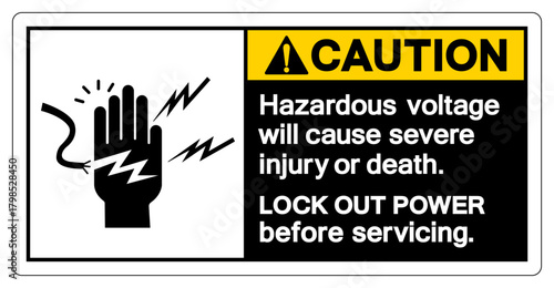 Caution Hazardous voltage will cause severe injury or death Symbol Sign, Vector Illustration, Isolate On White Background Label .EPS10