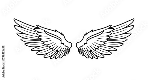 Stylized wing pair graphic illustration featuring clear definition and symmetry in vector format
