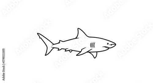 Simple line drawing of a shark swimming smoothly in a vast ocean environment with white background