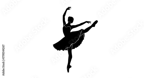 Adobe Illustrator Artwork