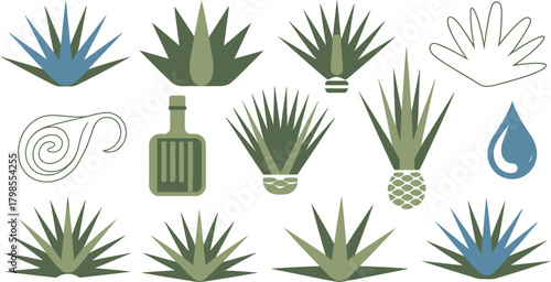 Agave Plants, Tequila Bottle, Water Drop Green and Blue Elements Set