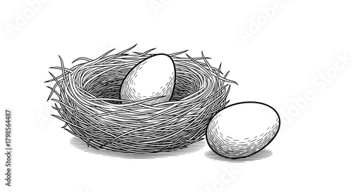 A detailed black and white drawing of a bird's nest with two eggs one inside and one beside it.