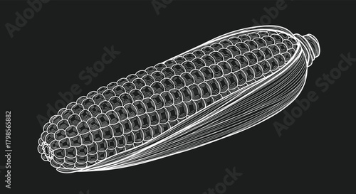 A detailed line art drawing of a single ear of corn shown on a black background.