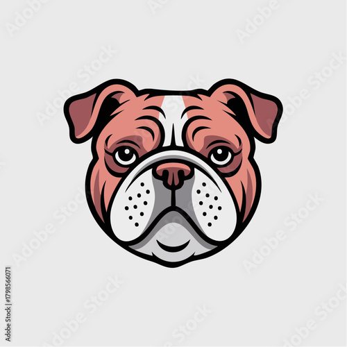 bull dog cute vektor