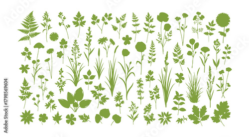 A large collection of botanical silhouettes featuring floral elements. Includes branches, leaves, herbs, flowers, and wild plants. A collection of leaves and foliage from gardens, meadows, and fields