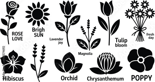 Black and White Graphics Featuring Rose, Tulip, Orchid, Hibiscus, Poppy and Chrysanthemum Flowers