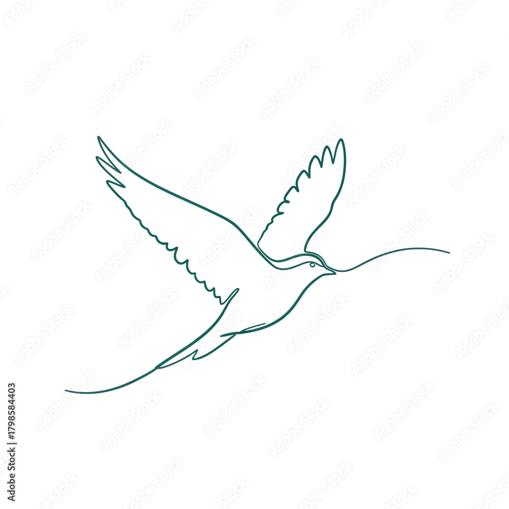 Obraz premium Adobe Illustrator Artwork