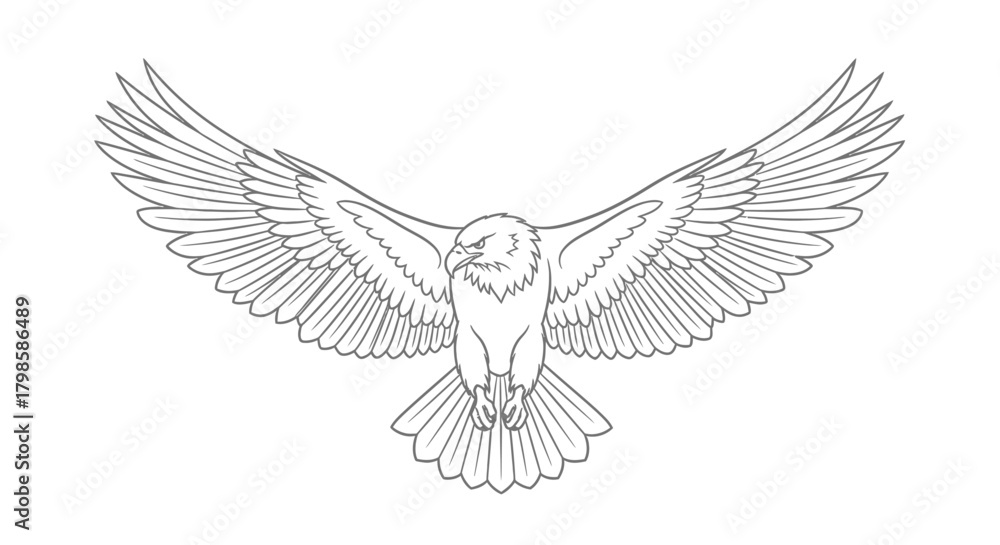 Obraz premium Majestic bald eagle soars with powerful wings an original line drawing illustration minimal design