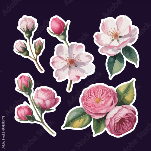 Set of floral elements. Romantic flower collection with flowers, twigs, leaves, herbs .