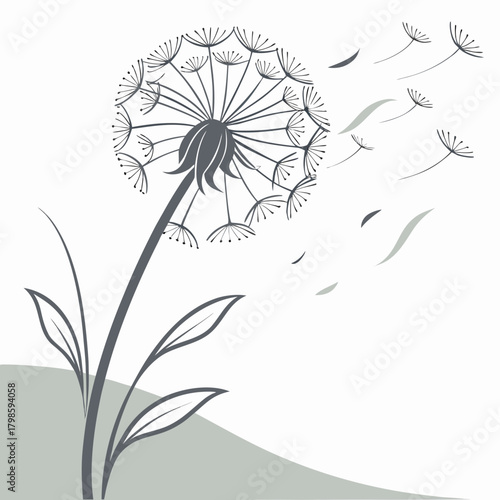 Dandelion Seed Head 1