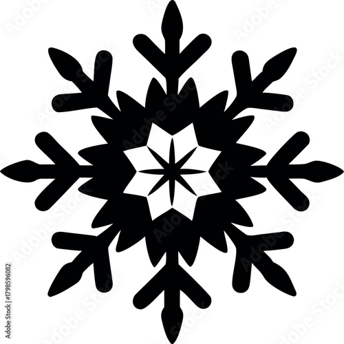  single isolated vector of a snowflake winter
