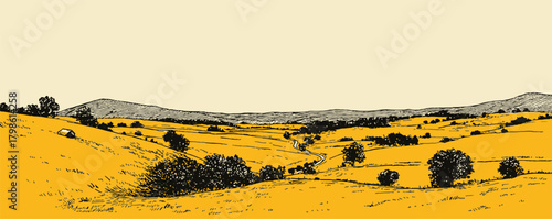 A yellow field with trees and a road. The sky is cloudy and the sun is not shining