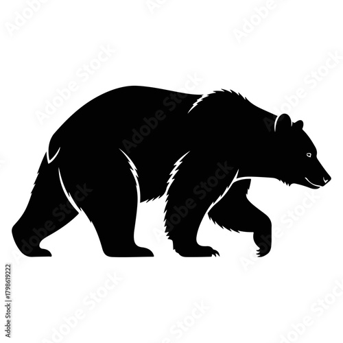 Black Silhouette of a Walking Bear with White Outline Accents on a White Background, Majestic Wild Animal Vector Art