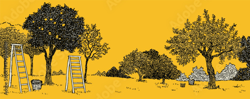 A yellow background with trees and a ladder. The ladder is leaning against a tree