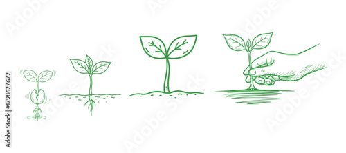 A hand-drawn doodle of a sprouting plant in line art style. Another take on a sprout in a doodle format .Sketchy line art of a growing plant with a doodle vibe