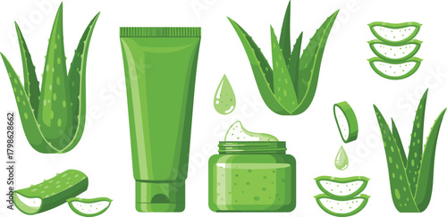 Vector illustration set of organic Aloe Vera plants, cut slices, and natural skincare products in tubes and jars, symbolizing medicinal plants, cosmetic ingredients, beauty care, and healthy skin trea
