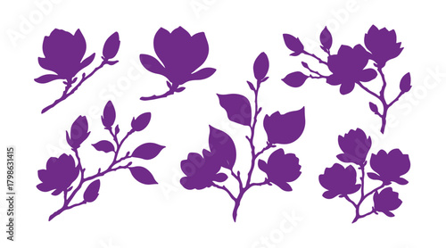 Magnolia flowers. Bundle of magnolia branches. Vector graphic in a range of colors on a white background.