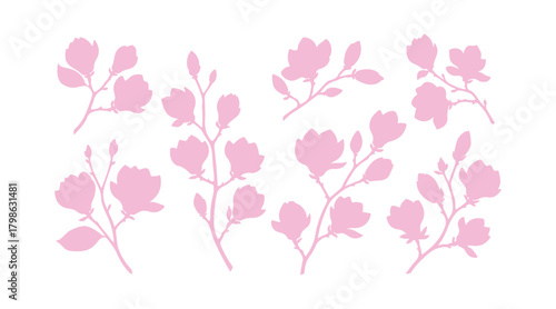Magnolia blossoms. Assortment of magnolia branches. Vector art in different colors on a white surface.