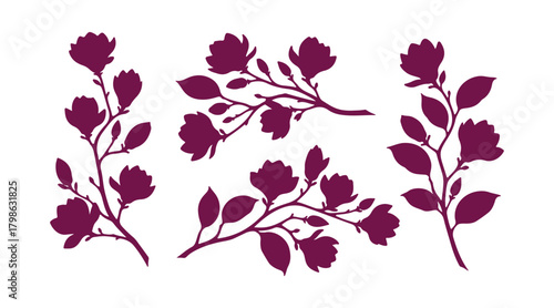 Magnolia blooms. A collection of magnolia branches. Vector illustration in multiple colors set against a white backdrop.