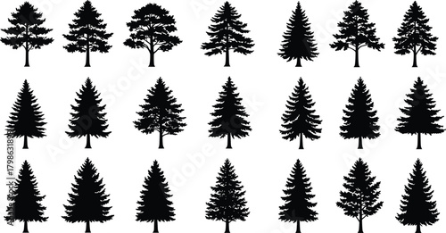 Pine and spruce tree silhouette collection, black forest tree vector illustration set, natural evergreen design for outdoor, landscape, and nature themes