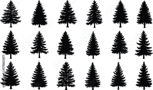 Set of pine tree silhouettes, black forest vector collection, evergreen conifer trees, nature woodland illustration, Christmas tree outlines, natural landscape elements design