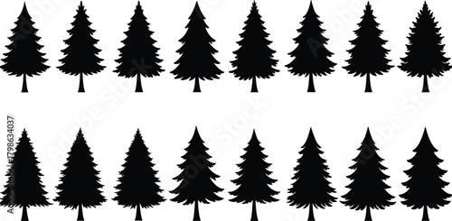 Set of pine tree silhouettes, evergreen forest vector illustration, black conifer tree collection for nature, landscape, winter, and Christmas design elements