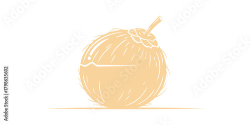 coconut vector icon illustration design template
