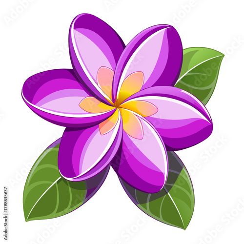 frangipani purple flower on white