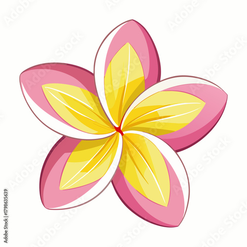 frangipani silhouette on white background