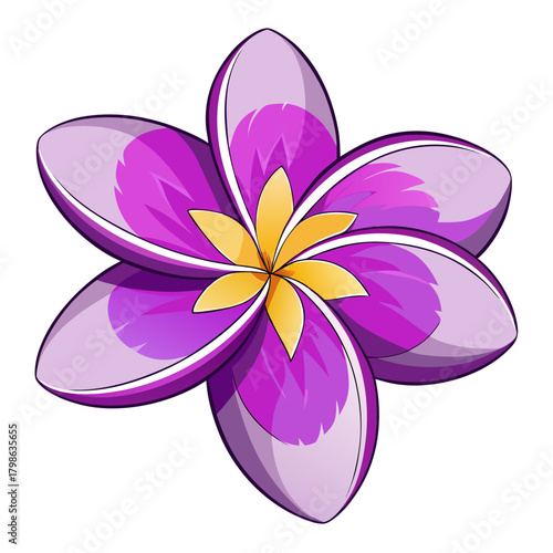 frangipani purple on white background