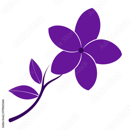 frangipani purple silhouette on white background