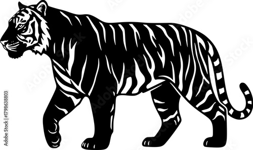 tiger vector illustration