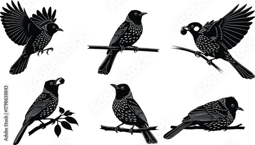 Elegant black bird silhouettes perched and flying on branches, detailed vector illustration set, natural wildlife design elements for decorative artwork, branding, and creative projects