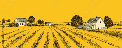 A yellow and brown drawing of a farm with two houses and a barn. The houses are small and the barn is old. The field is full of crops