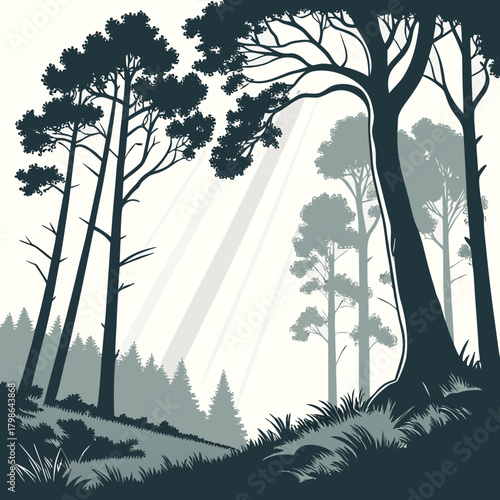 A serene forest scene unfolds with tall, dark trees silhouetted against a soft, lightfilled backdrop, creating a tranquil and mysterious atmosphere isolated on