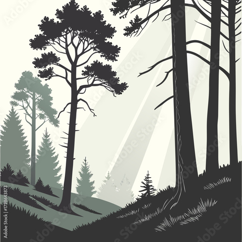 A tranquil forest scene with tall trees silhouetted against a soft, lightfilled backdrop, creating a serene and mysterious atmosphere isolated on