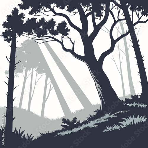 A serene forest scene with tall, dark trees silhouetted against a soft, lightfilled backdrop, creating a tranquil and mysterious atmosphere isolated on