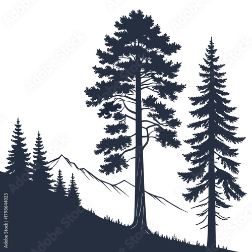 Silhouette of a mountain landscape with pine and fir trees isolated on, creating a serene and minimalist nature scene with a timeless appeal