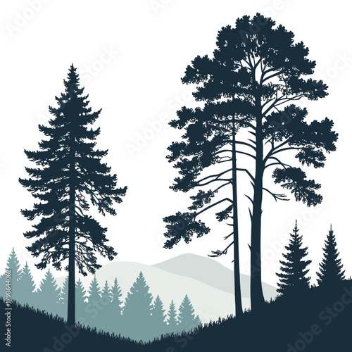 Mountain landscape with pine and fir trees isolated on, creating a serene nature scene with a timeless appeal and natural beauty