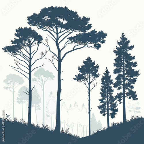 Silhouette of a forest with various trees, including pine and other coniferous species, creating a serene and natural landscape isolated on