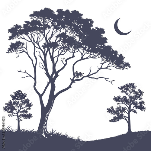 Silhouette of trees under a crescent moon, creating a serene and natural scene isolated on the trees are in the foreground, with a moon in the sky