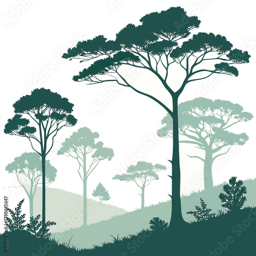 A picturesque forest unfolds with majestic trees silhouetted against a clean, white backdrop, inviting viewers to immerse themselves in the beauty of the natural world isolated on