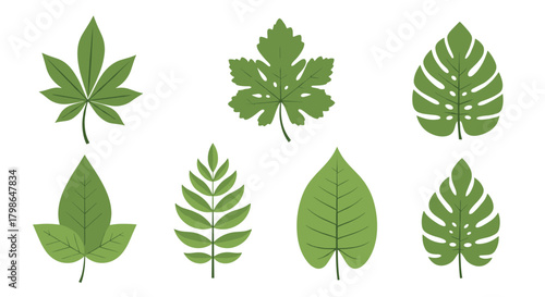 A diverse collection of green leaves from various trees and plants.