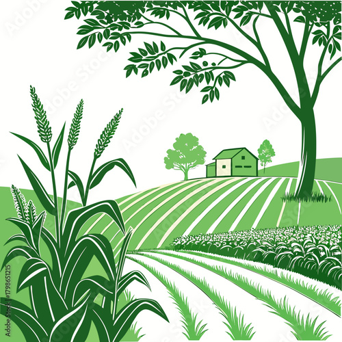 Green farm landscape with cornfield and house isolated on