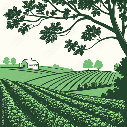 Idyllic countryside landscape with farm house and fields isolated on