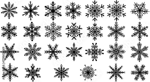 Snowflake Collection: 2D Vector Illustration