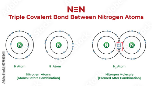 Triple Covalent Bond Between Nitrogen Atoms Vector Illustration