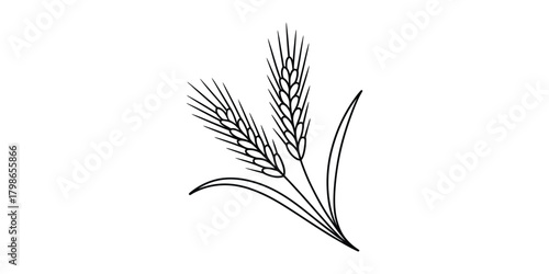 Line art illustration of two wheat stalks representing agriculture