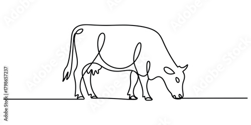 Continuous line art of a grazing farm cow, minimalist vector design.