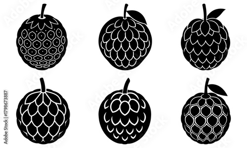 Six black and white custard apple illustrations with varying scale patterns and leaf details shown above